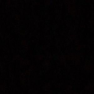 Meet your Posher, Dillon